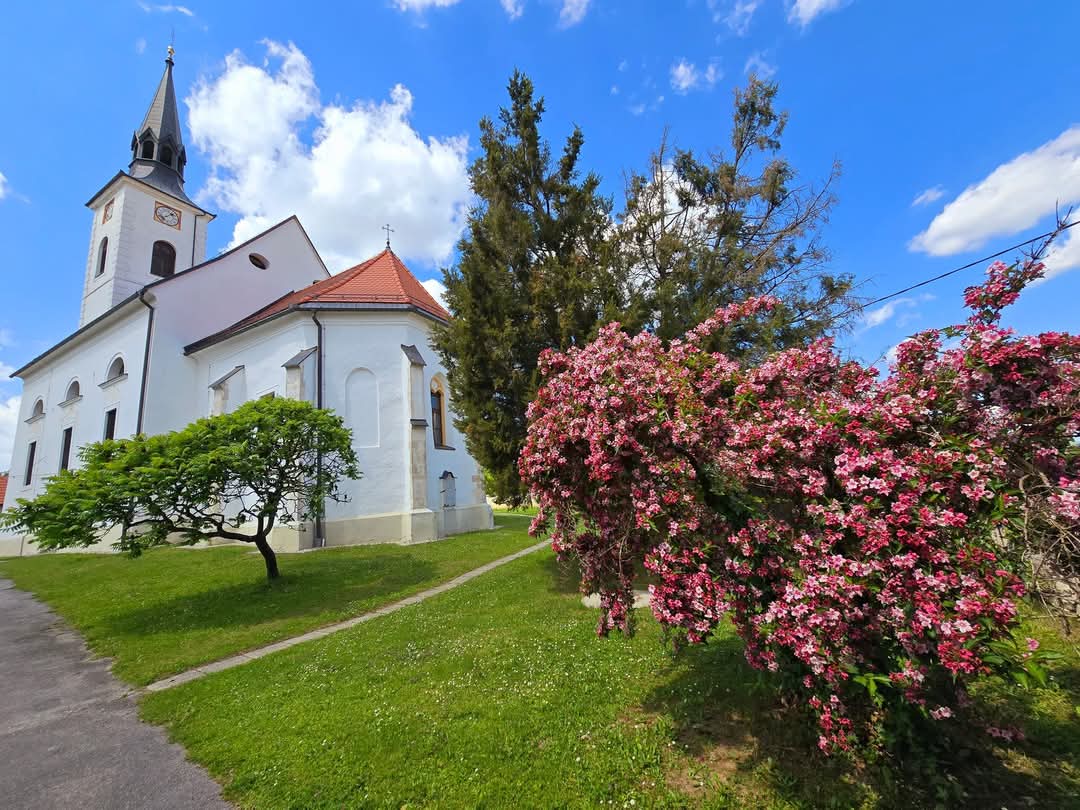 Zavrč-Cerkev sv. Nikolaja