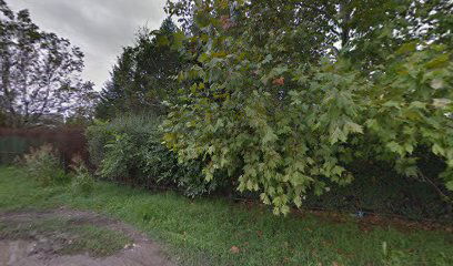 SRC Mladost ( birding place )