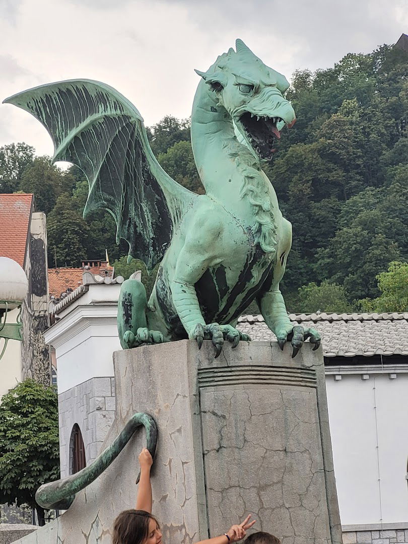 Foto Pauli, fotografske in Knjigoveške dejavnosti, Gordana Grlič s.p.