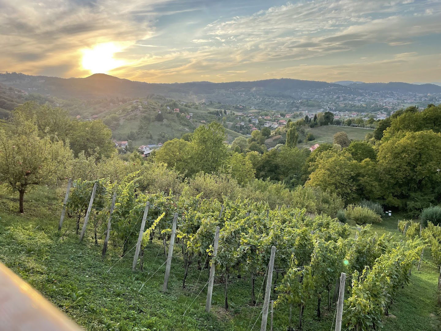 Tammy, obrt za proizvodnju, preradu i usluge, vl. Ivana Babić Čortan