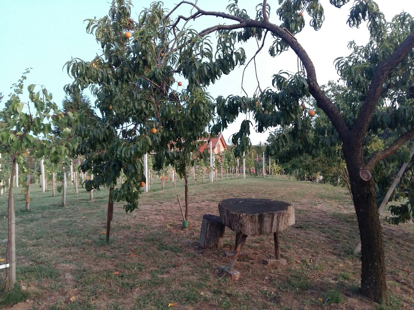 Društveni dom Bakovčica