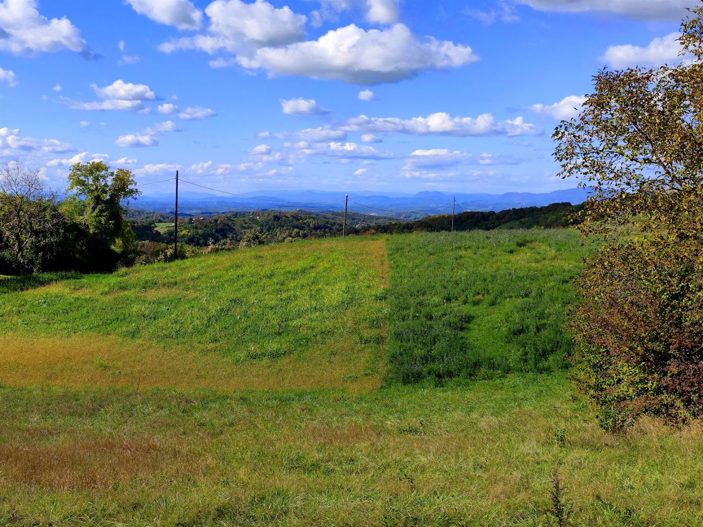Panoramic View Point