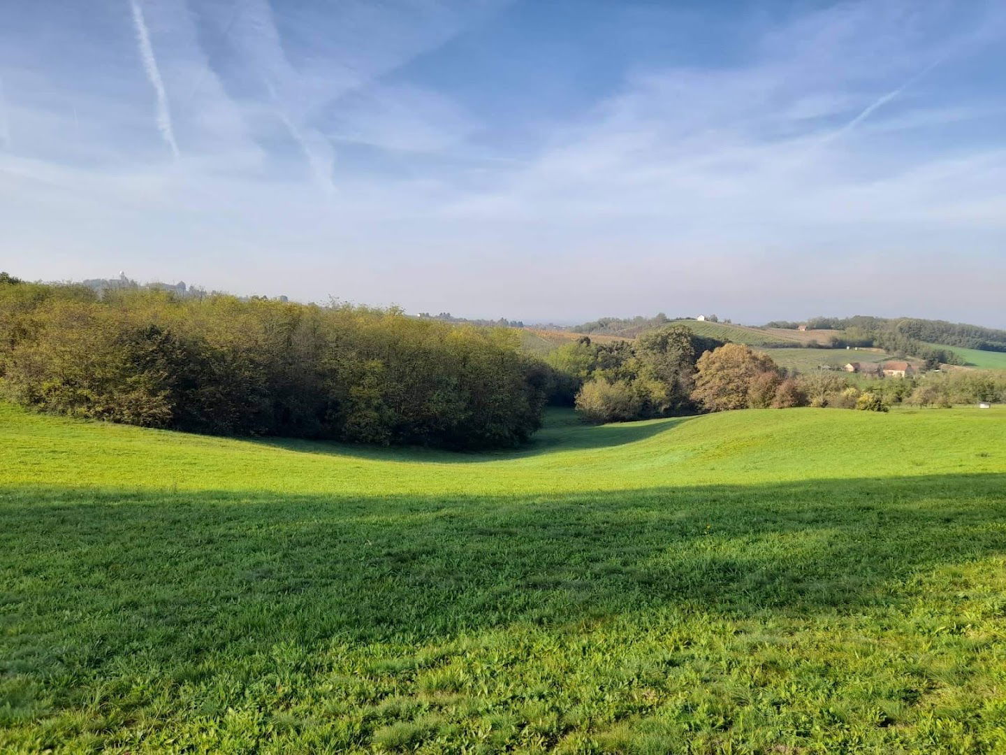 Vidikovac “Tri hrasta”