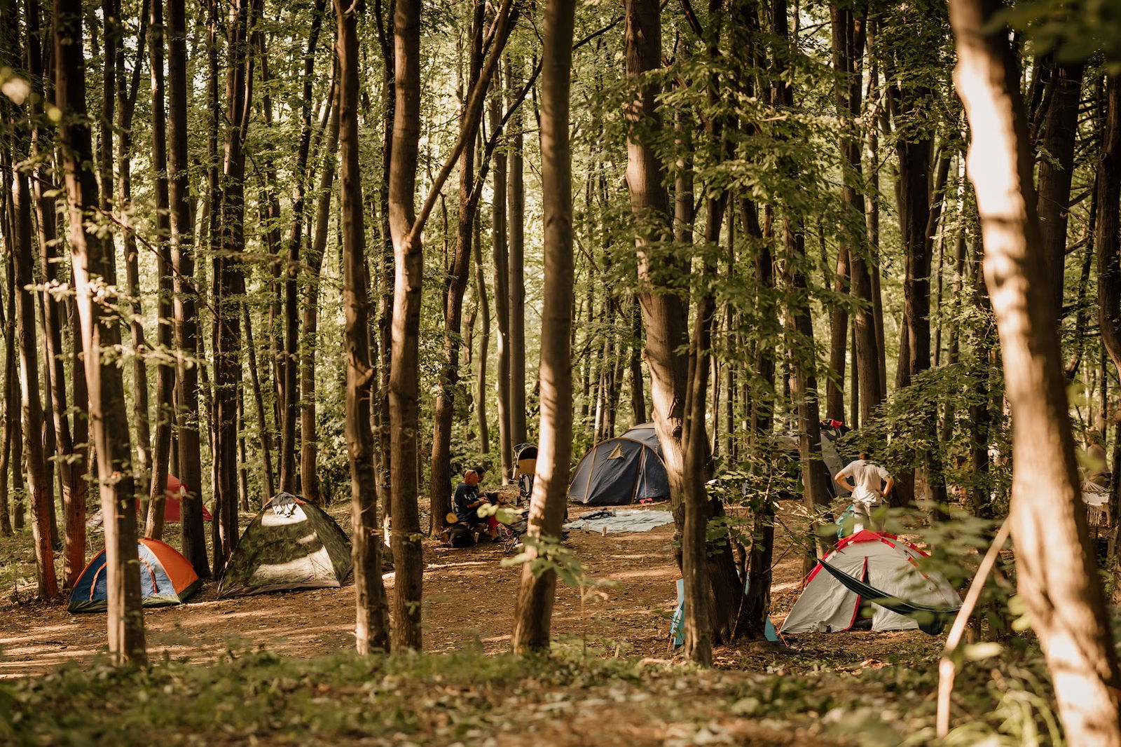 Natural Mystic Reggae Festival