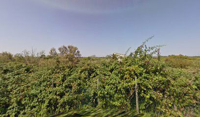 Ricostruzione Forno preistorico lavorazione argilla e cottura manufatti fittili