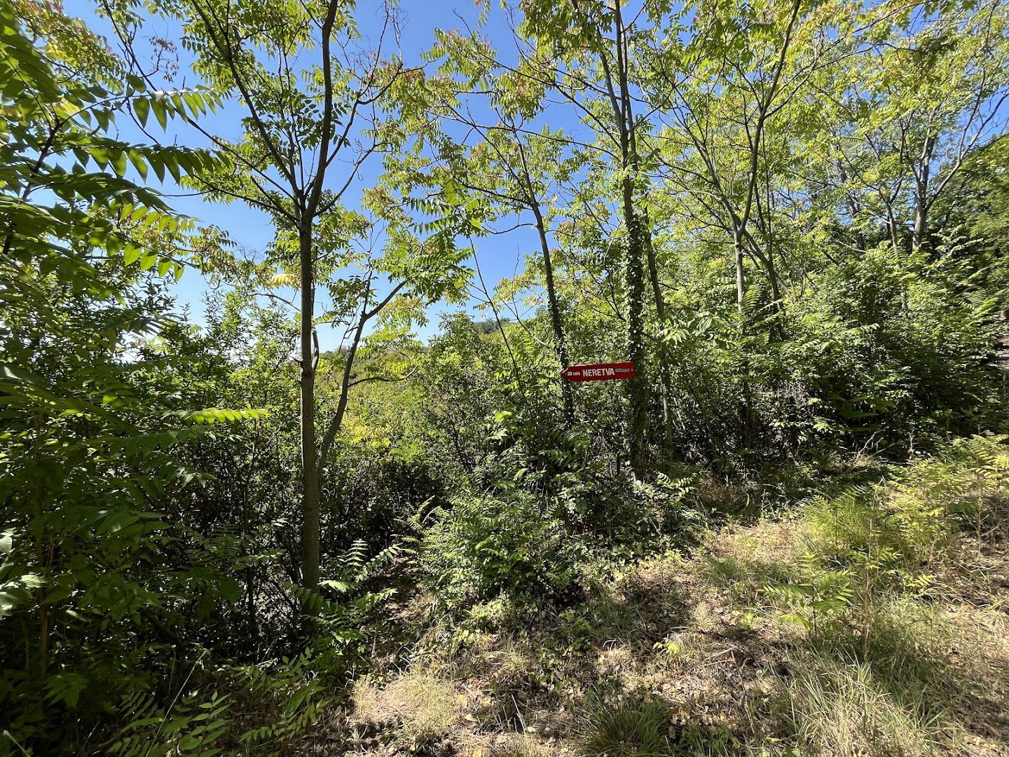 Planinarska staza Biletić polje-Tepcici