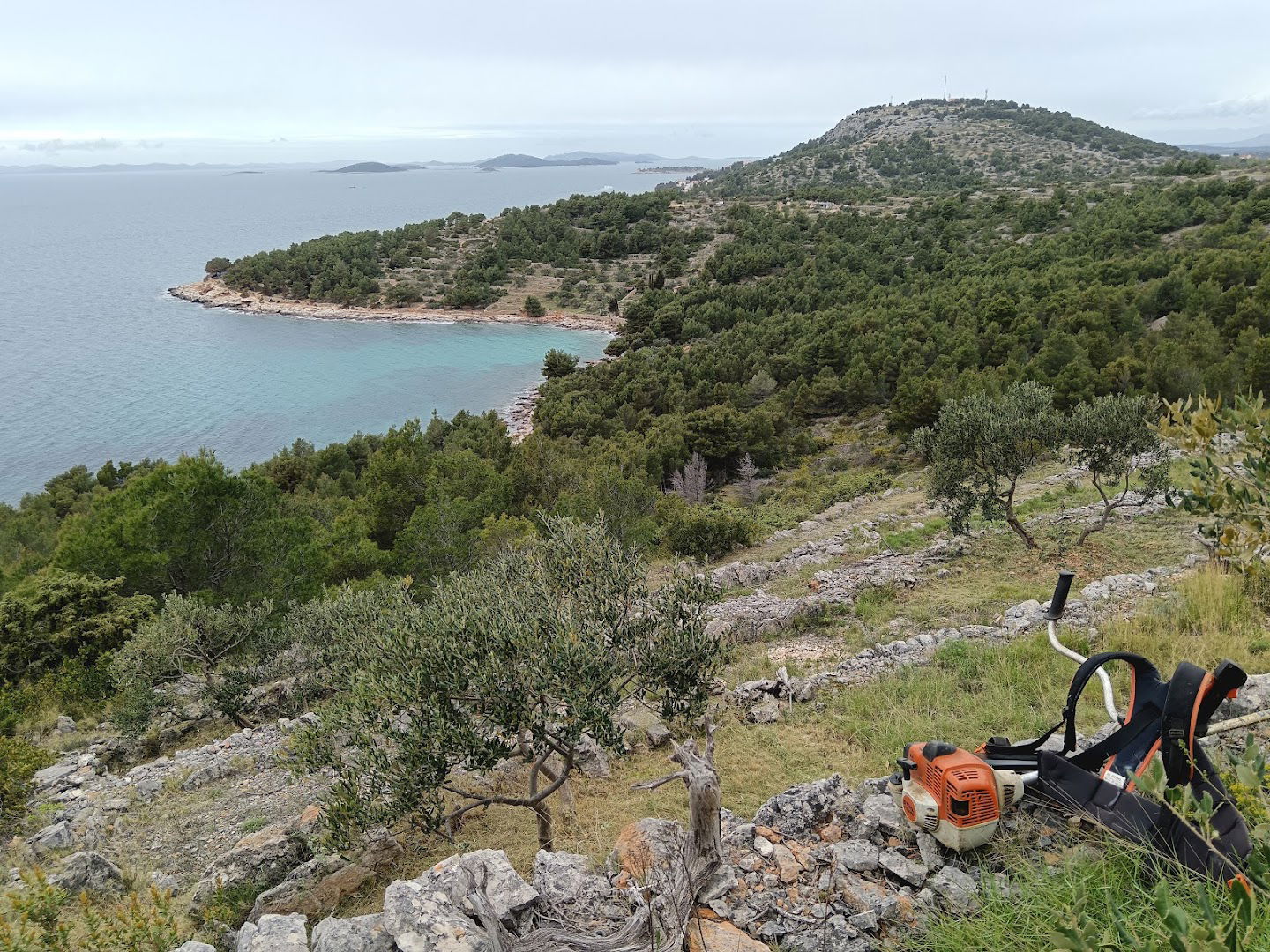 Mala Doca - maslinik OPG "Kurkut Neven"