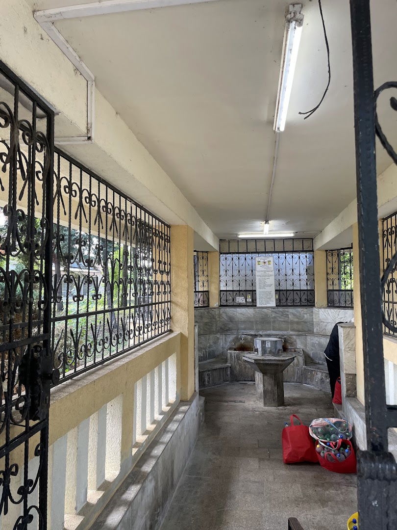 Паланачки кисељак