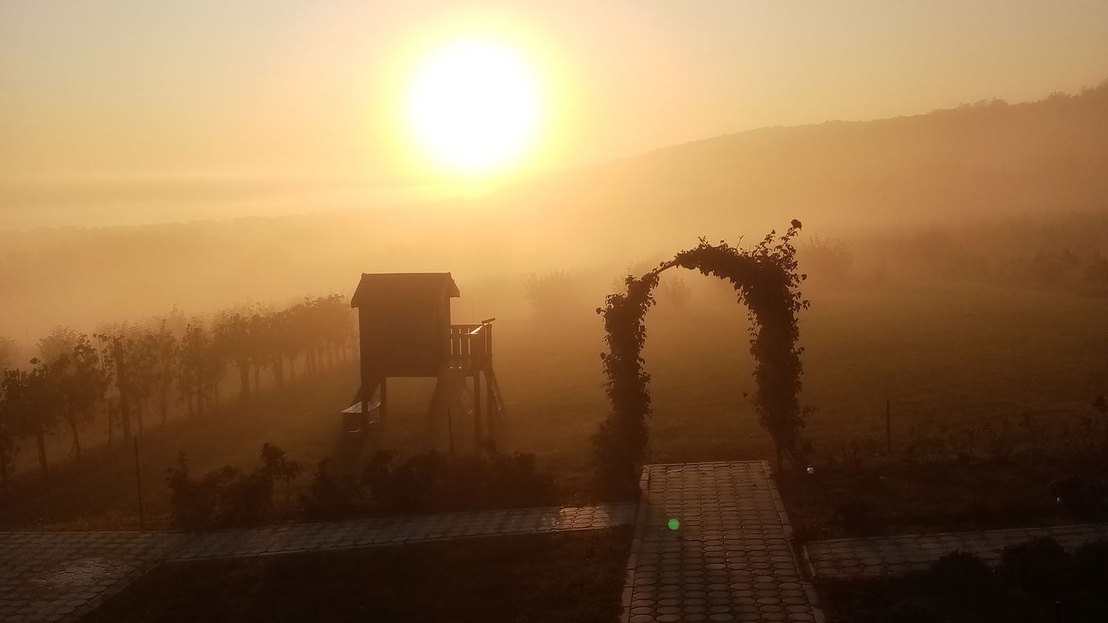 PROIZVODNJA LESNIKA MLADENOVIC