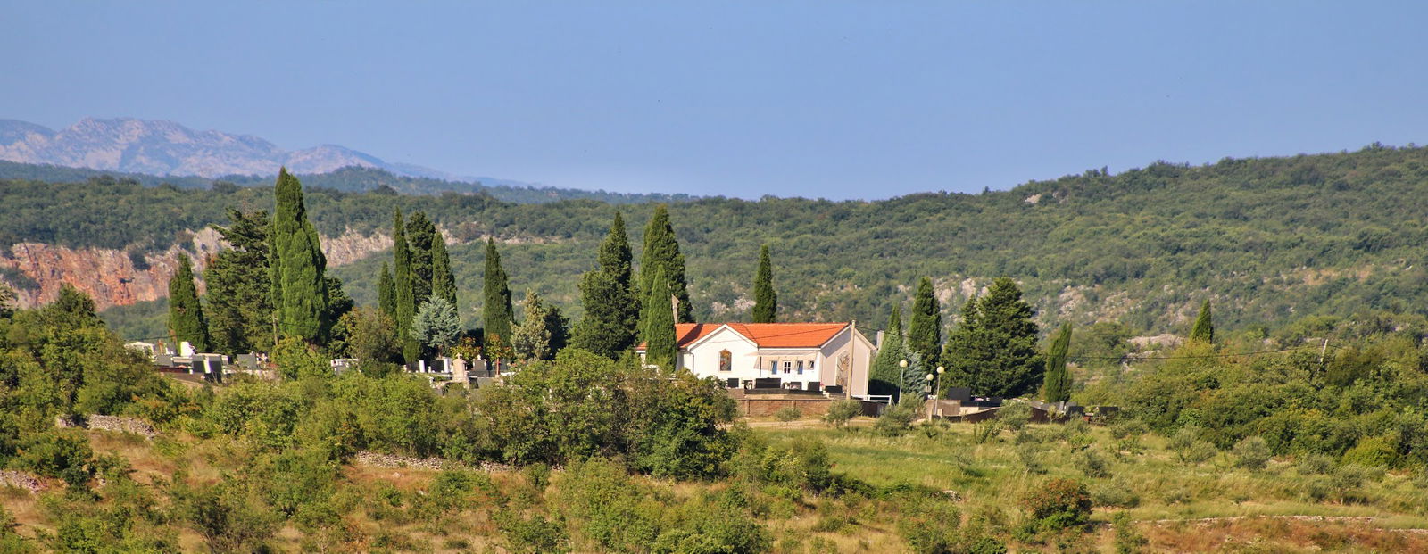 Bartuluša, Drinovci