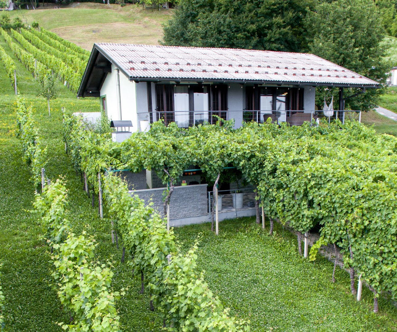 Kuća za odmor Panorama