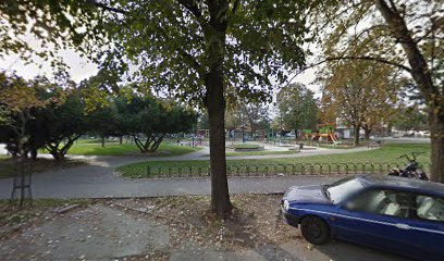 Tires Playground Jungle