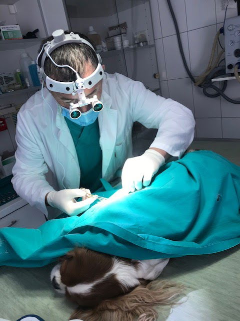 ZOO-VET ZADAR d.o.o.