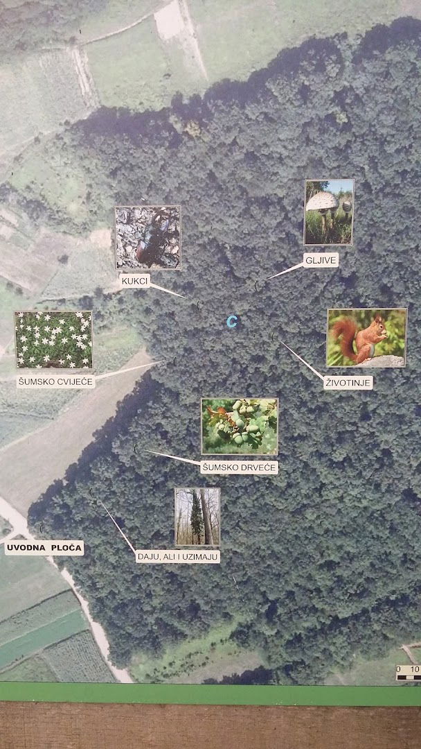 Zelena učionica Šarov Jarek