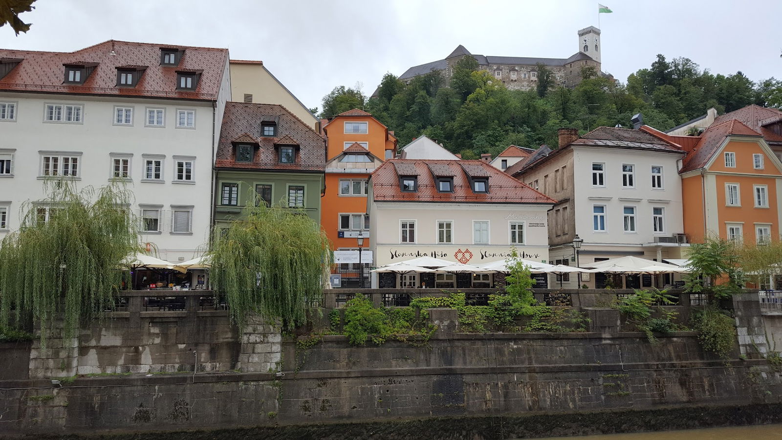 Zavod za študentski šport študentske organizacije univerze v Ljubljani