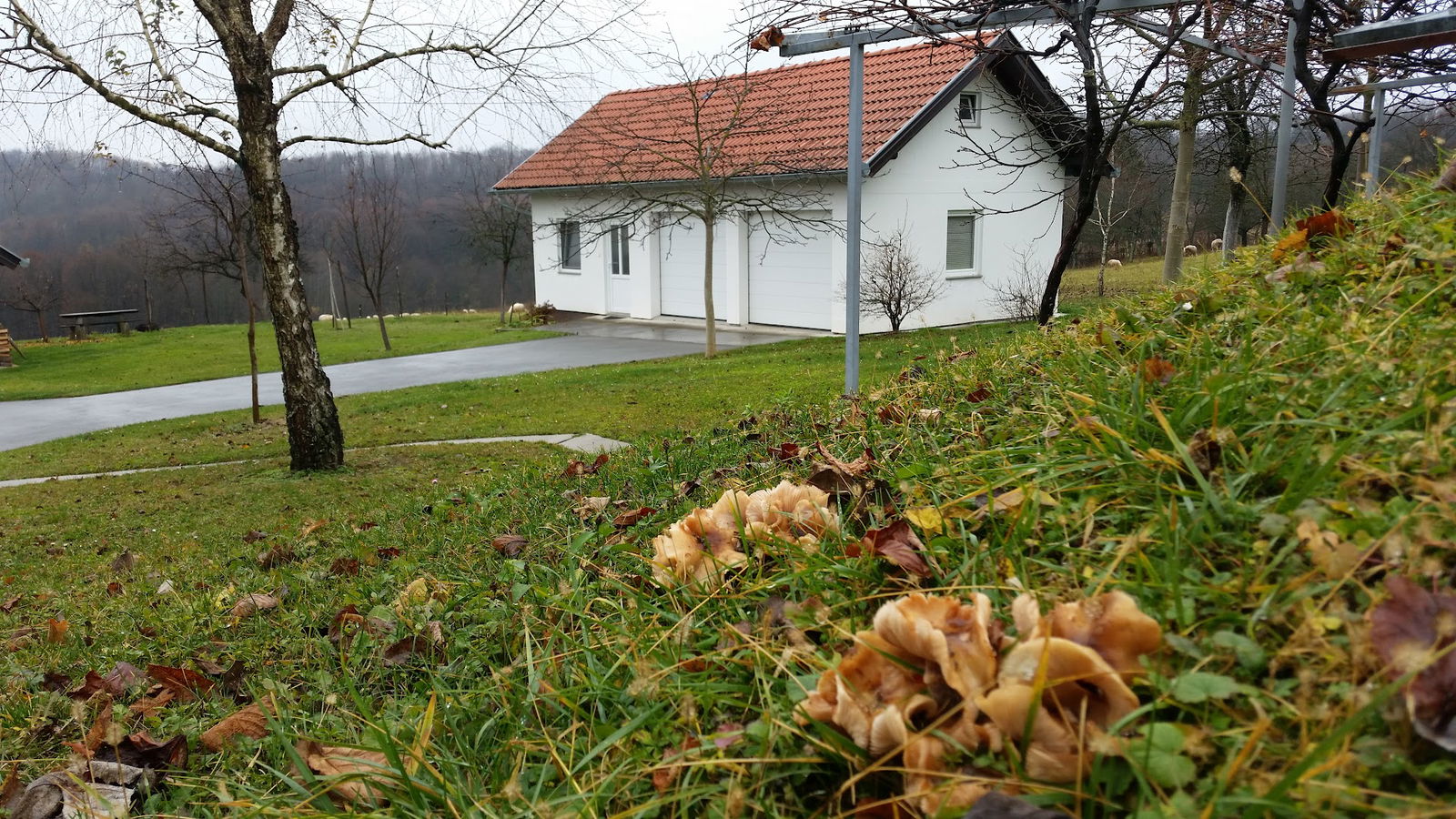Church of the Holy Cross