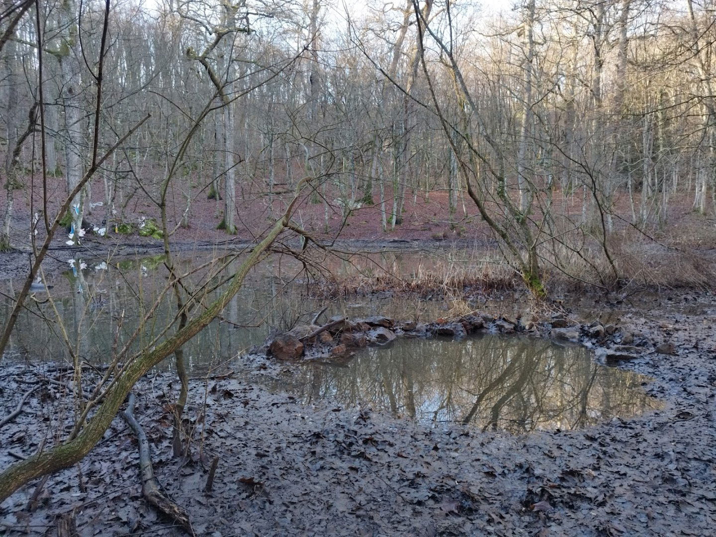 Stagno di Percedol / Prčedol (Ledinsko ime / toponimo)