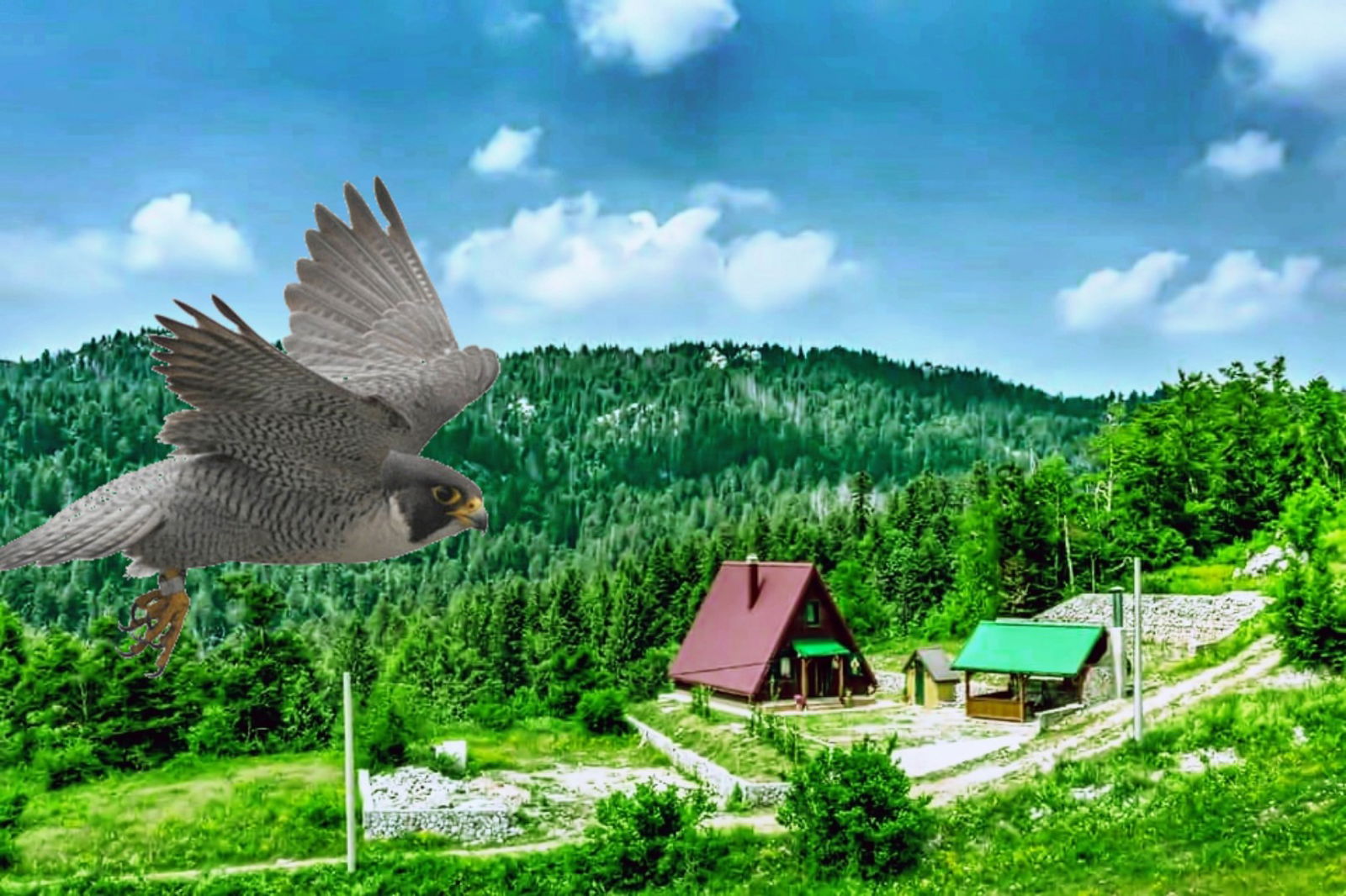 Mountain guest house Brestova Draga