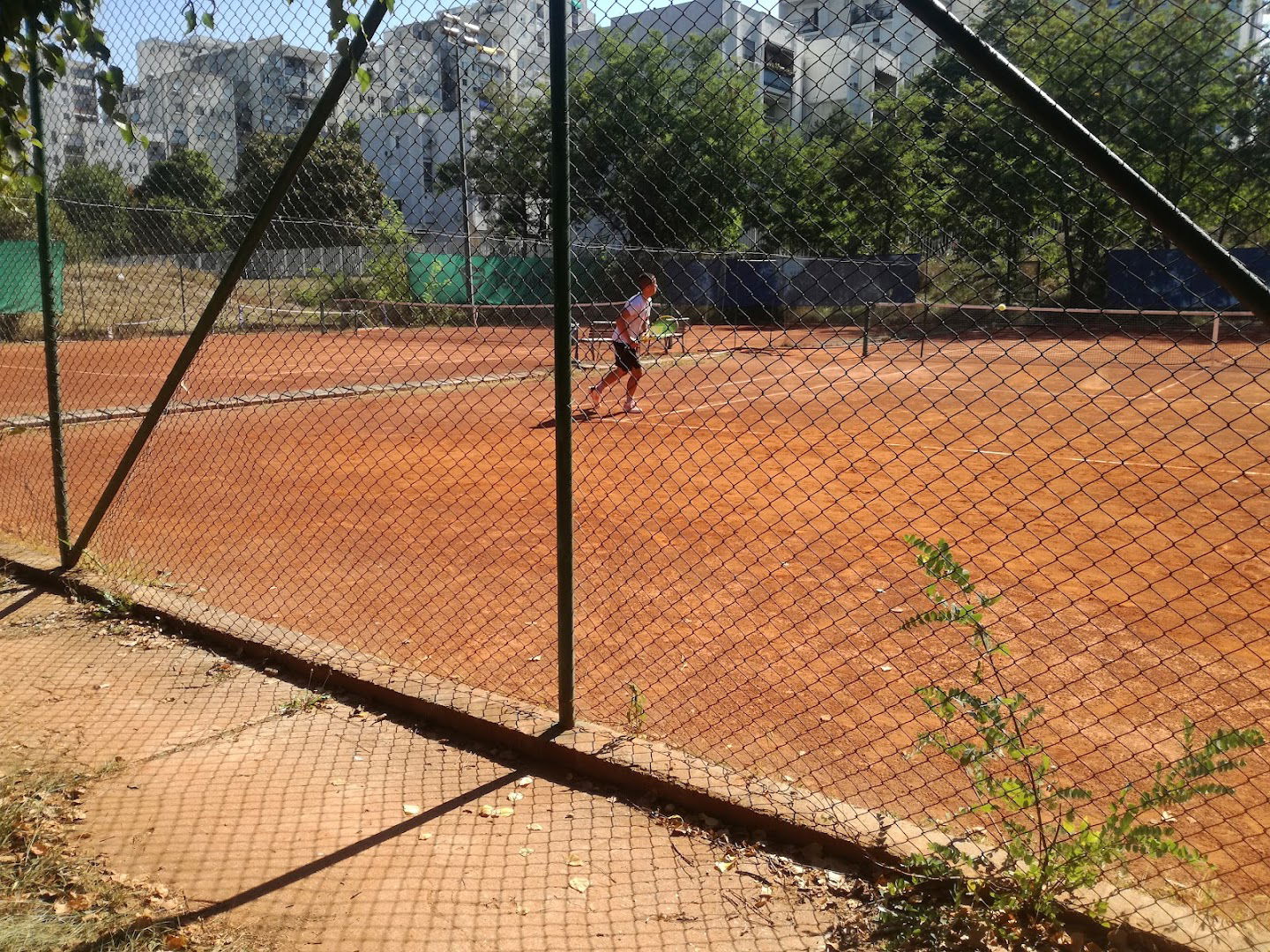Tennis Courts Master