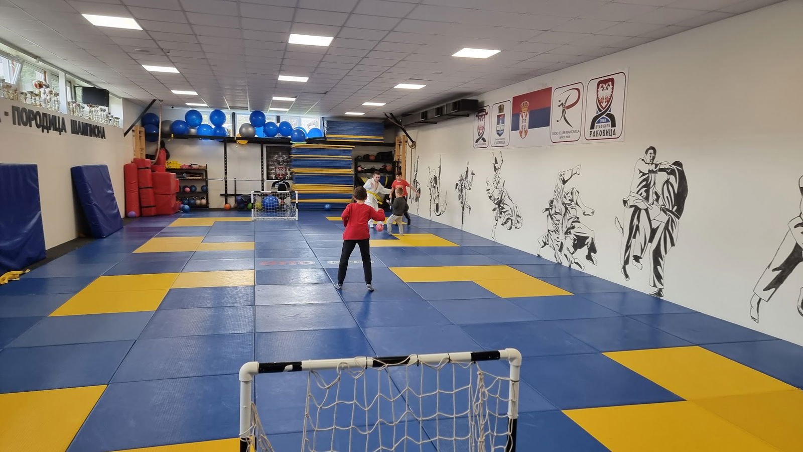 Džudo klub Rakovica