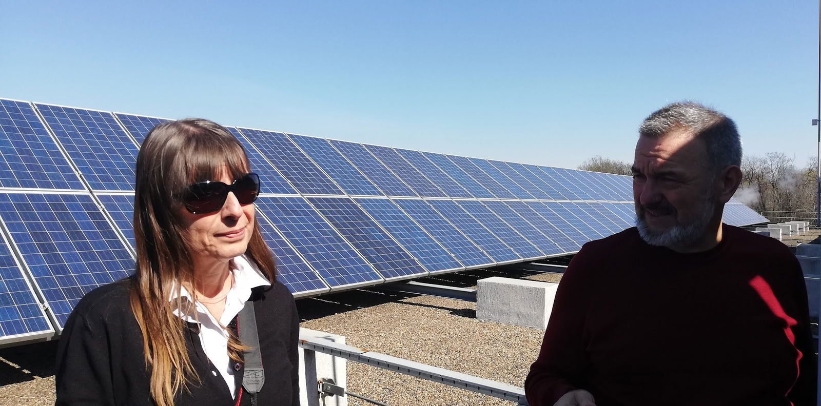 Institut Mihajlo Pupin