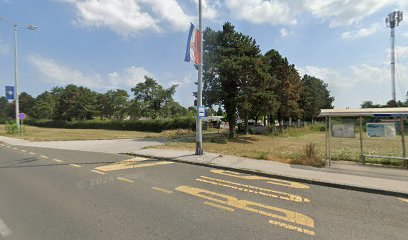 Sarajevsk-Vatikanska