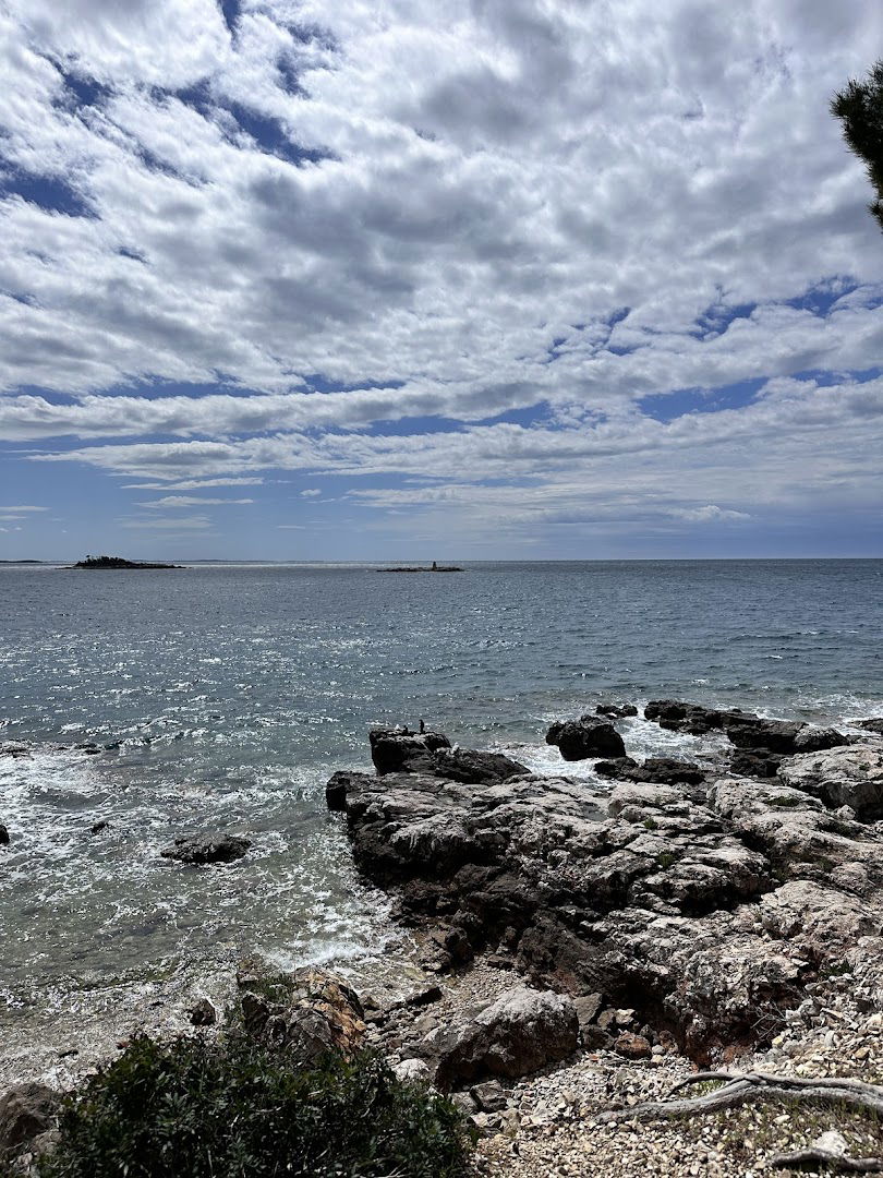 Park forest Zlatni Beach