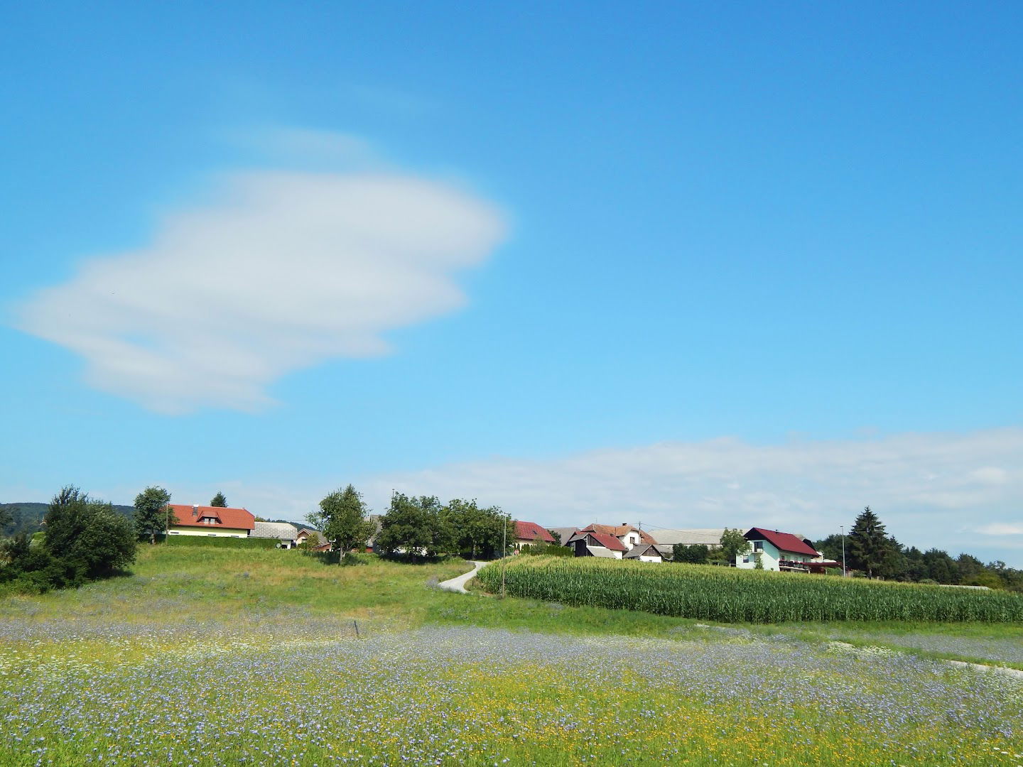 Magrad - Gradbena mehanizacija Marjan Anderlič s.p.