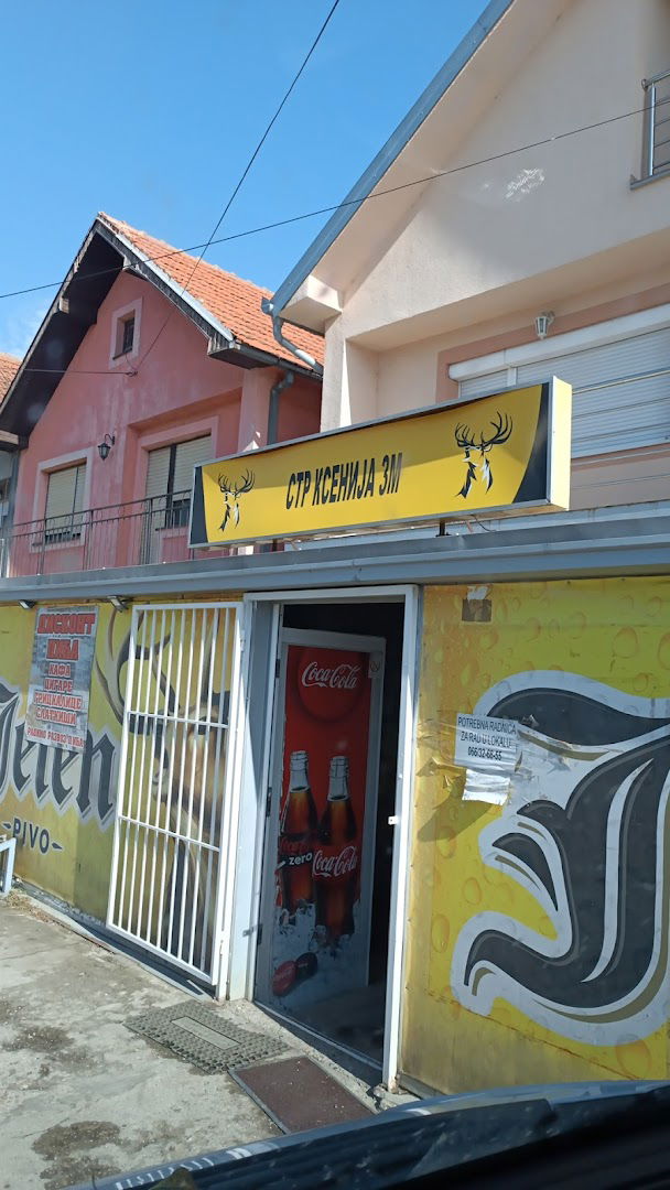 Ksenija 3M Pinkijeva