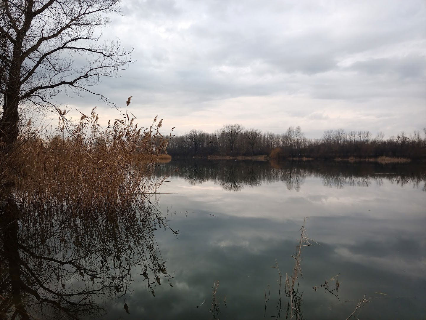 Belocrkvanska Jezera Javno Preduzece Bela Crkva