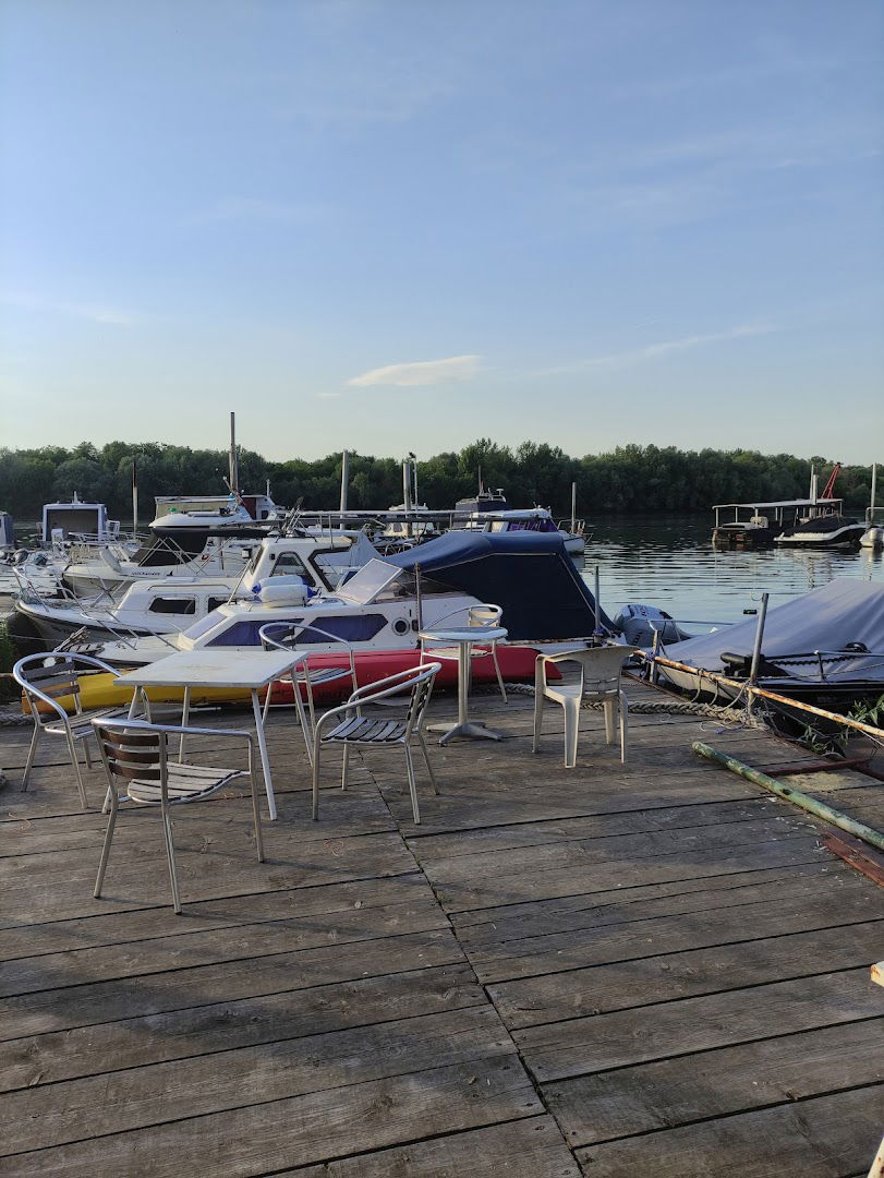 Марина Галија