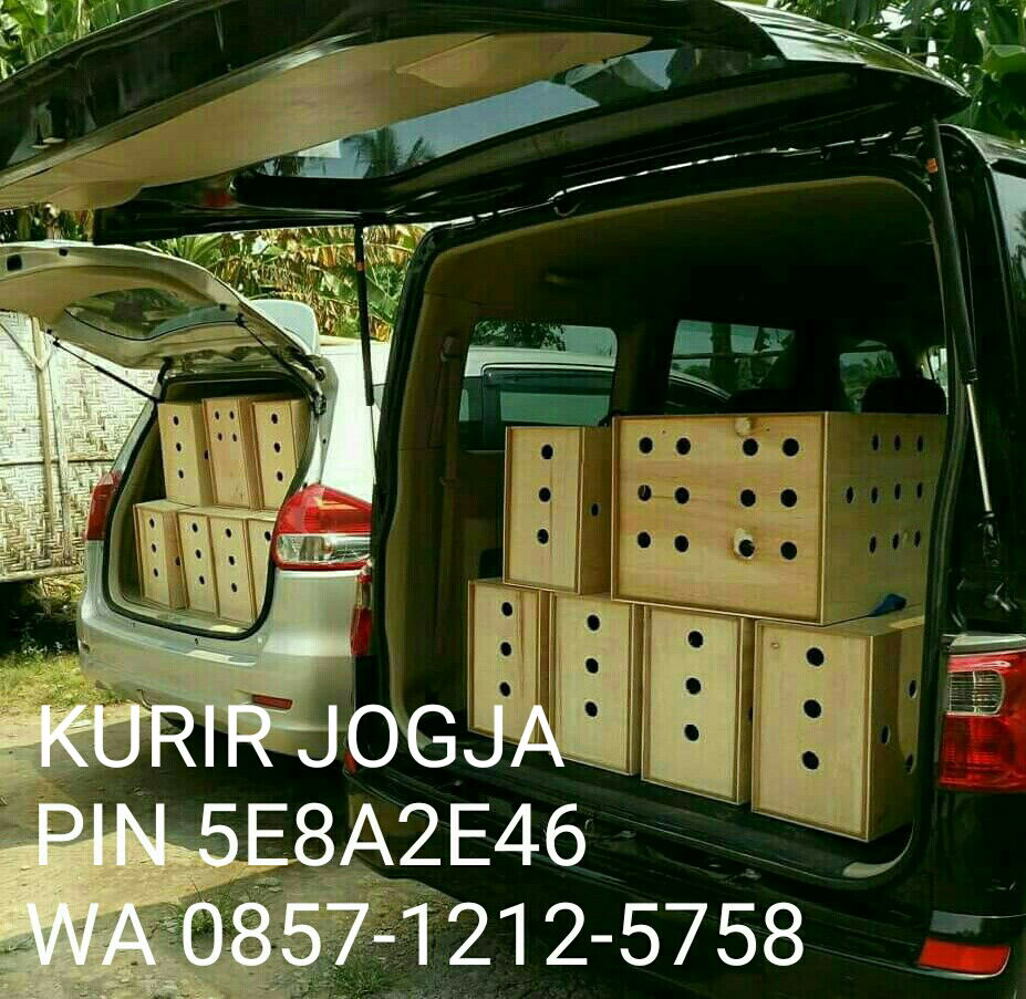 KURIR JOGJA Animal Distribution