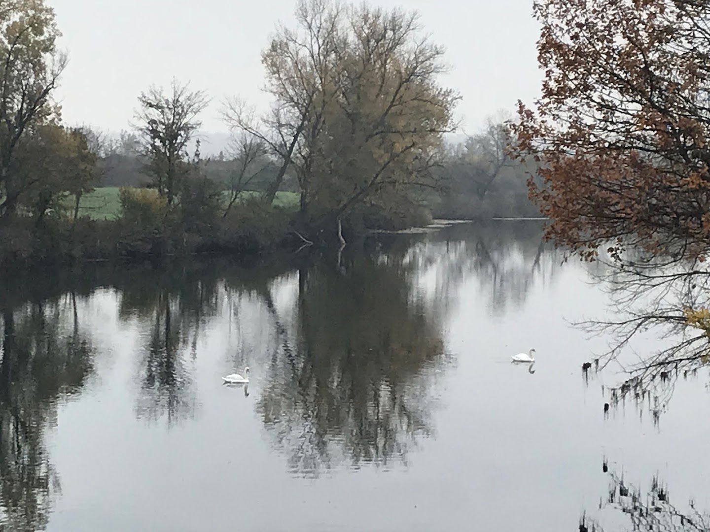 Klub športskih ribolovaca Korana