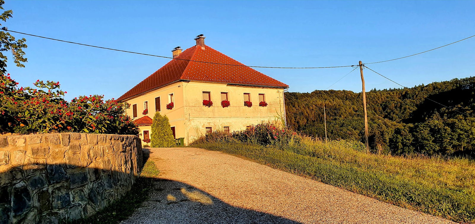 Župnija Mokronog