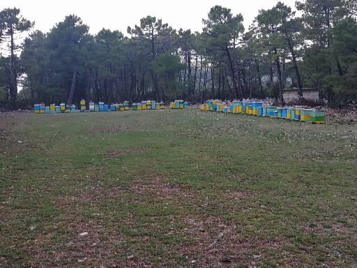 OPG Pčelarstvo Volarević