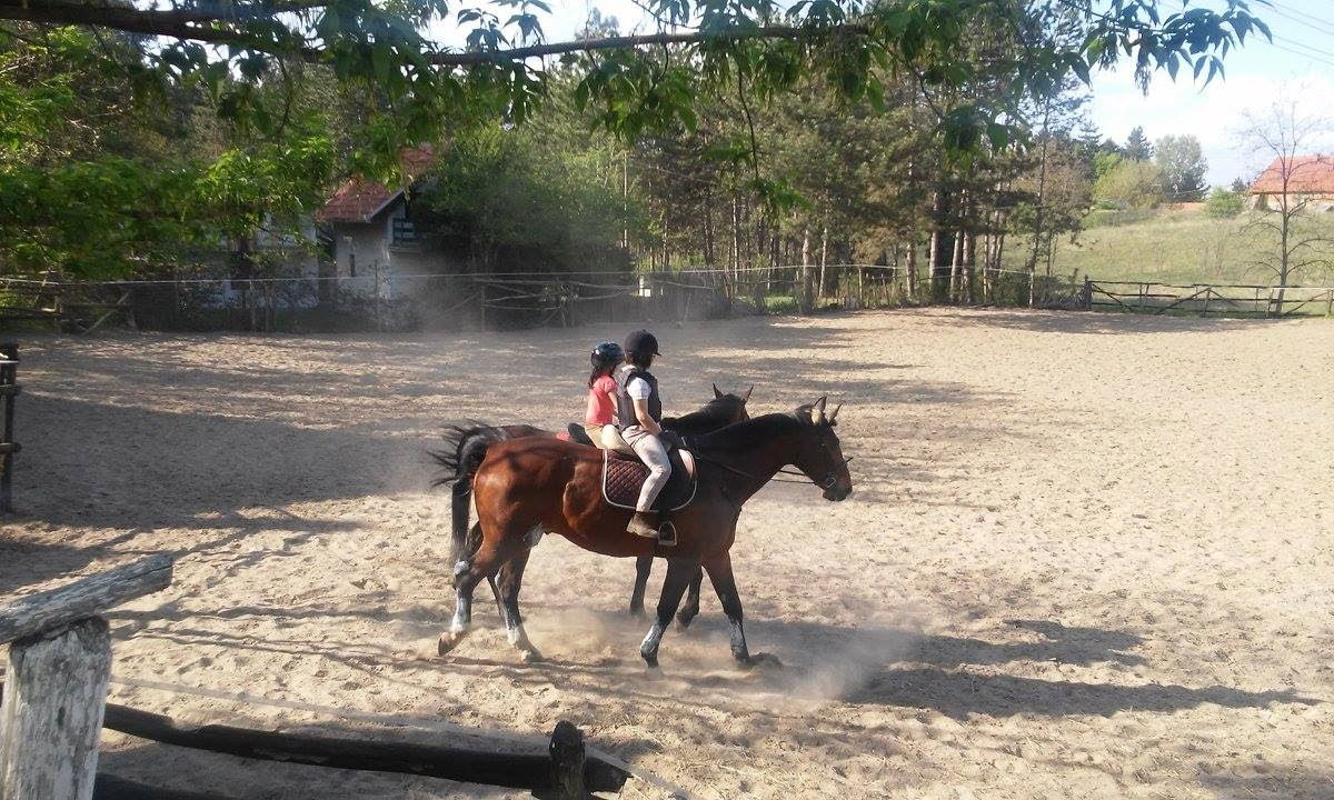 Ergela konja u Pesku