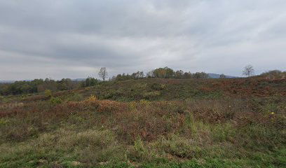 Old cemetery Bandino Selo