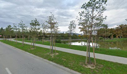 Šetnica bijelog bora