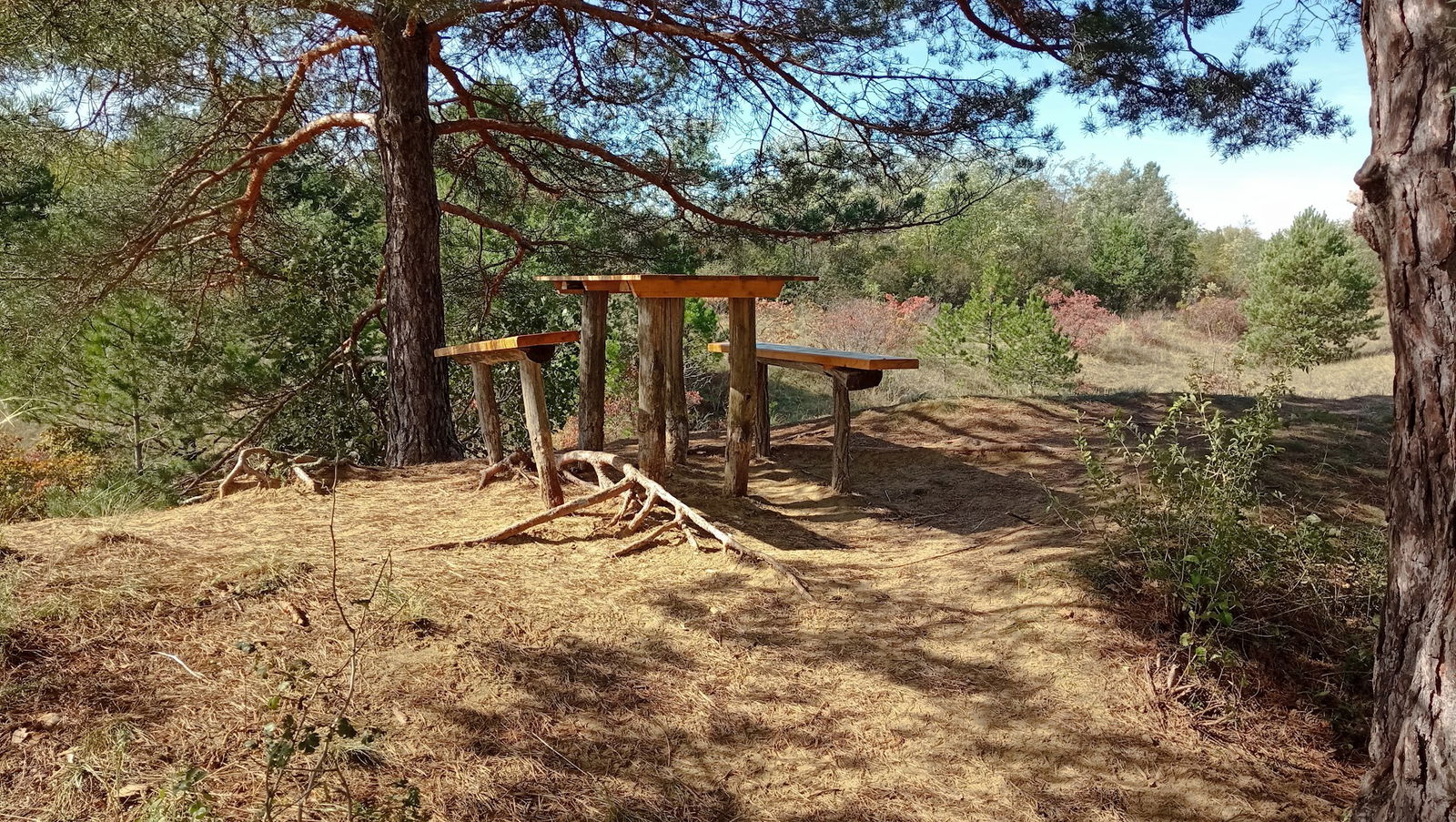 Klupa Staza zdravlja 5 - Plava