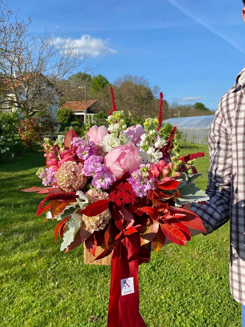 OPG Novosel, cvijeće