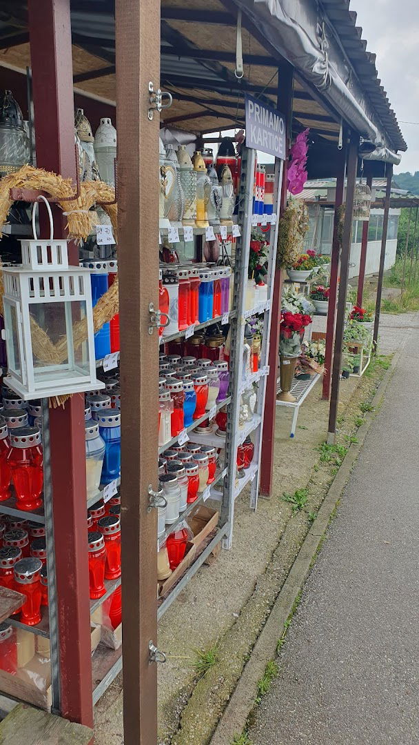 Cvjecarnica Benjamin