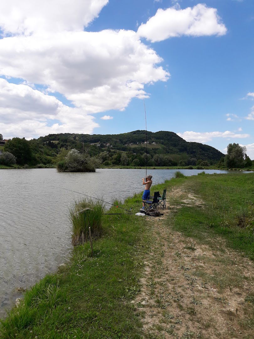 Ribiška družina Brežice