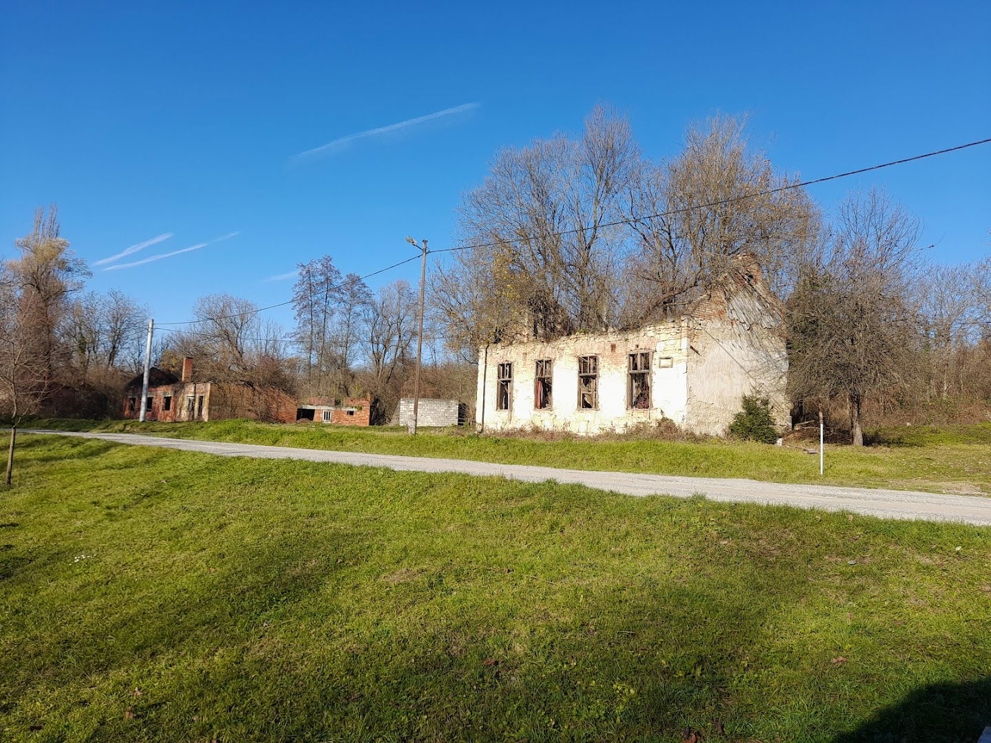 Попа Јоле Зеца