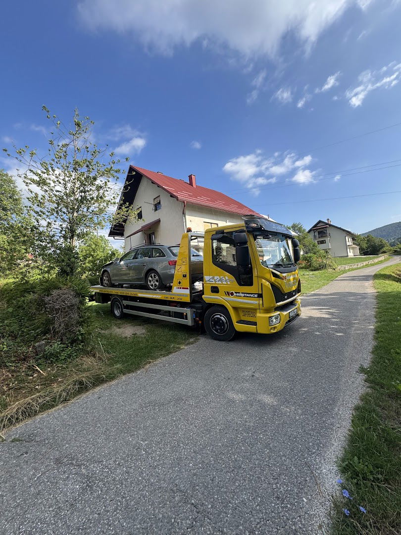 Vučna služba Rg Liker