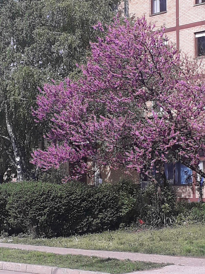 Лучка капетанија