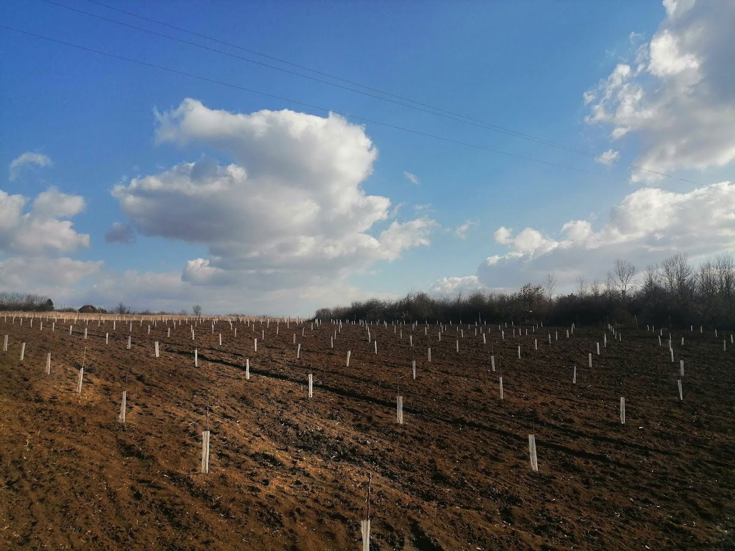 Poljoprivredno gazdinstvo Markovic