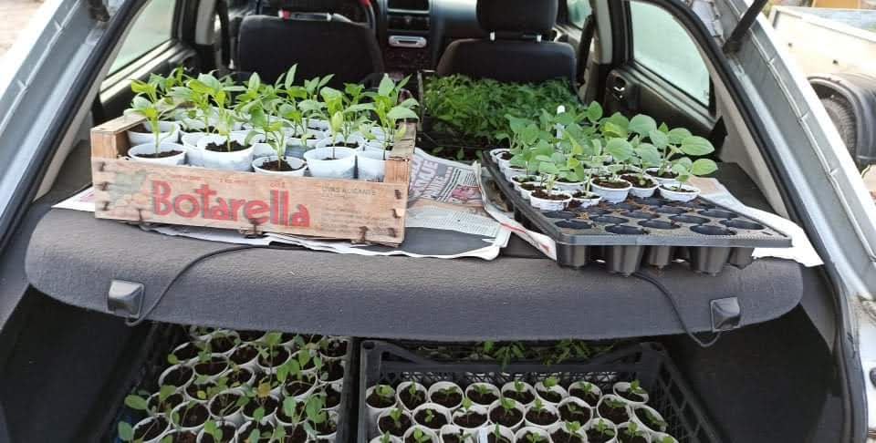 Nova Tržnica Vojnić