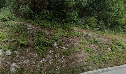 VERSUS JEZICI d.o.o. ŠKOLA STRANIH JEZIKA