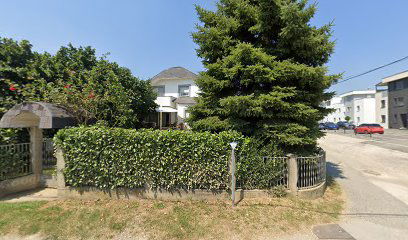 Mojo Dojo Popo's House