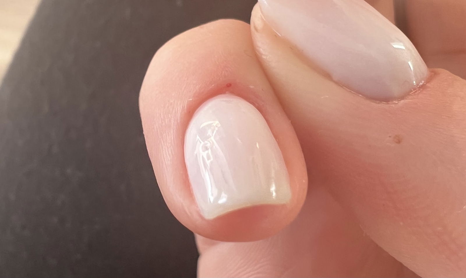 Salon ljepote La Reina